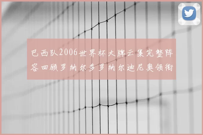 巴西队2006世界杯大牌云集完整阵容回顾罗纳尔多罗纳尔迪尼奥领衔